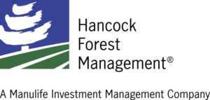 Hancock Forest Management